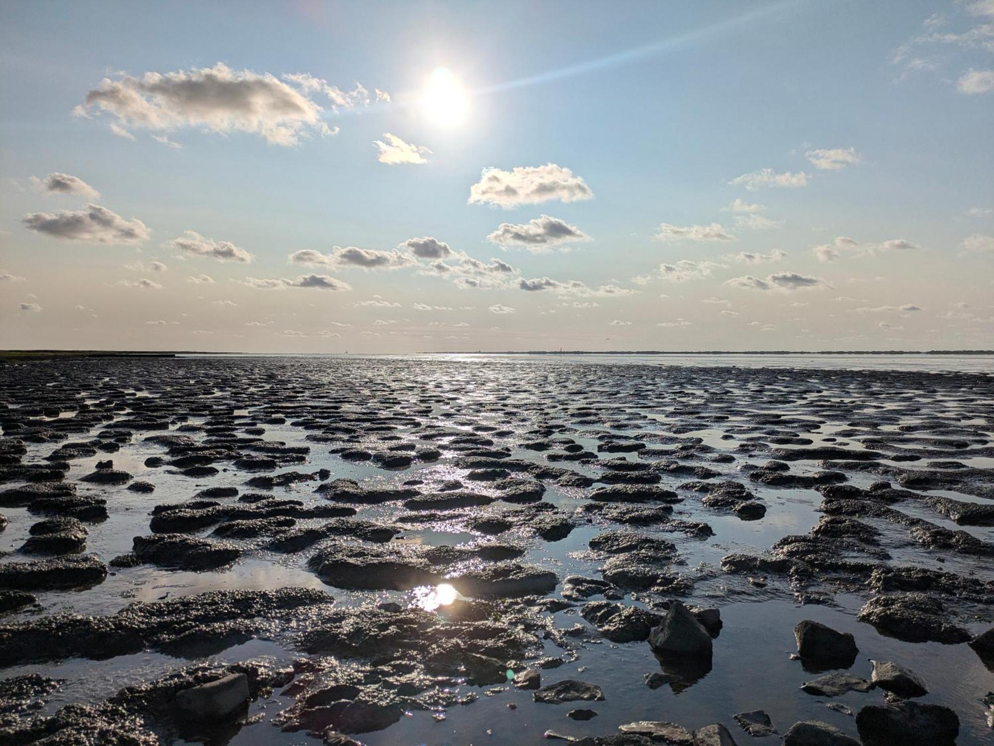 Drei-Insel-Blick Neßmersiel Exteriér fotografie